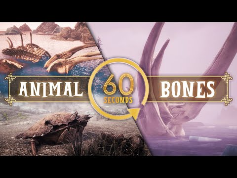Skyrim Mod - Animal Bones (In 60 Seconds)