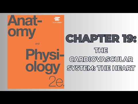 OpenStax Anatomy and Physiology 2e (Audiobook) - Chapter 19: The Cardiovascular System: The Heart