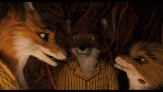 Yaman Tilki ( Fantastic Mr. Fox )