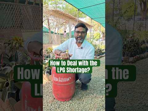 How to Cook During LPG Shortage in India?