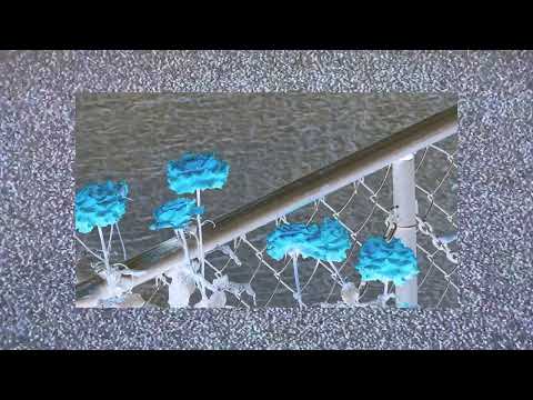 Into da Page ( Official Lyric Video ) Sar Chouk Yope (SCY) x          ALyinnYaung 1996