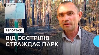 Через обстріли Сумщини знищується екосистема національного природного парку Деснянсько-Старогутський