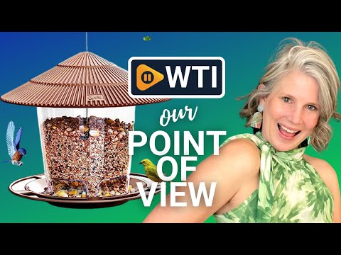 Hanzizi Hanging Bird Feeders - WTI product video review