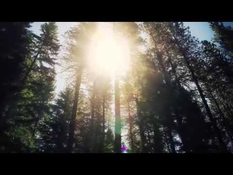 American Blogger Trailer