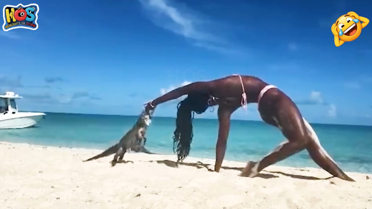 Try Not To Laugh 🤩 Top 100 Funniest Videos Ever 😏 | Funny Videos Compilation 2026 #66