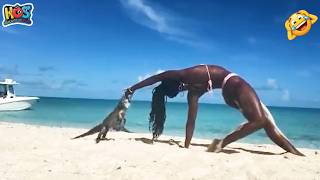 Try Not To Laugh 🤩 Top 100 Funniest Videos Ever 😏 | Funny Videos Compilation 2026 #66