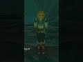 YOU ARE NOT ZELDA Do You Also Hate When This Happens Legend Of Zelda Tears Of The Kingdom Short