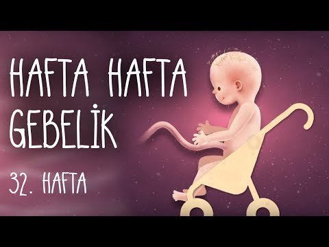Hafta Hafta Gebelik 32. hafta