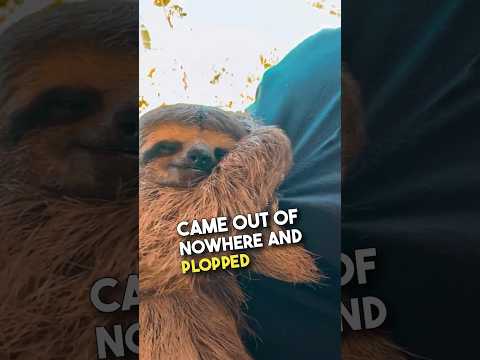 The way he yawned at the end 🥹❤️ #shorts