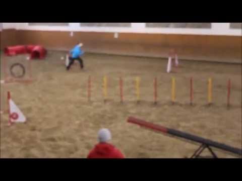 Neveklov Trojzkoušky agility - 14.2.2015