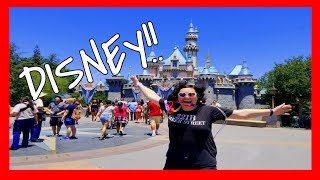VIDCON DAY 5 | DISNEY, THE TRIP HOME, AND AFTERMATH