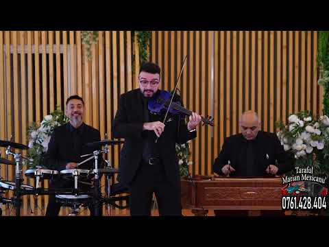 Robert Vioara Albastră - Ca la MEHEDINȚI (Live - 2025)