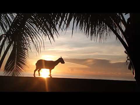 mata hari pagi di wanu tata nusi kwaos