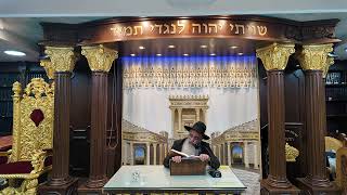 הרב מאיר דוד שמואלי - האוצר היומי סדר נו'