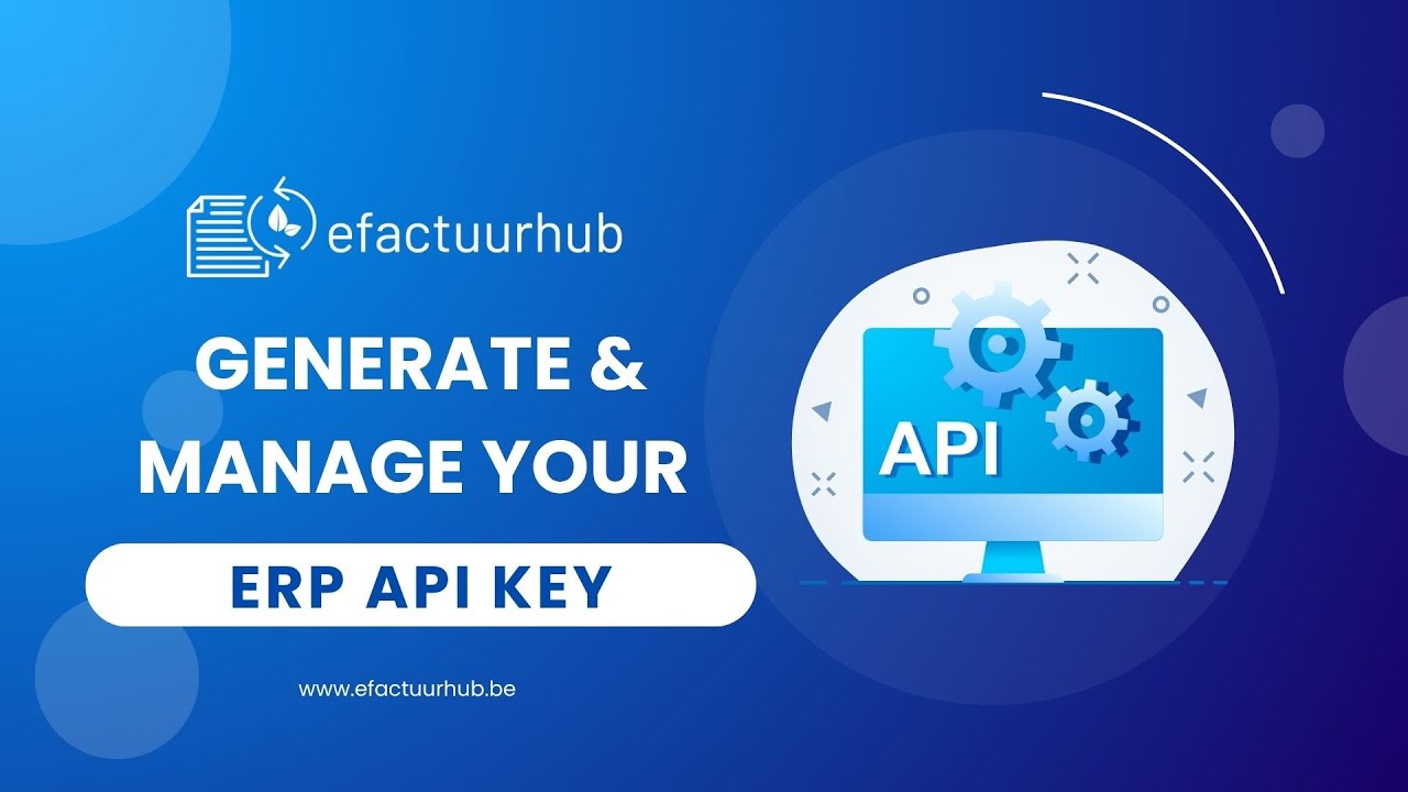 How to Generate and Manage Your ERP API Key | Secure e-Invoicing Integration
