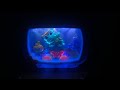Baby Einstein Sea Dreams Crib Soother Music Full Cycle Newest Version