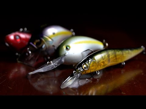 Michigan Ts Sporting Goods