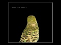 Andrew Bird - Imitosis