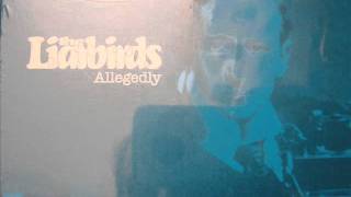 the liarbirds - soul keeper