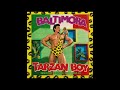 Baltimora Tarzan Boy Cover Remix 2026 By CMM
