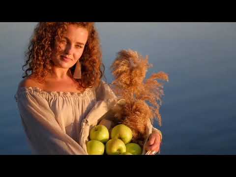 Mr Safir - All day All night ( Music Video)