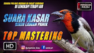 Download lagu suara kasar bikin musuh keteteran || TOP MASTERING MURAI BATU mp3