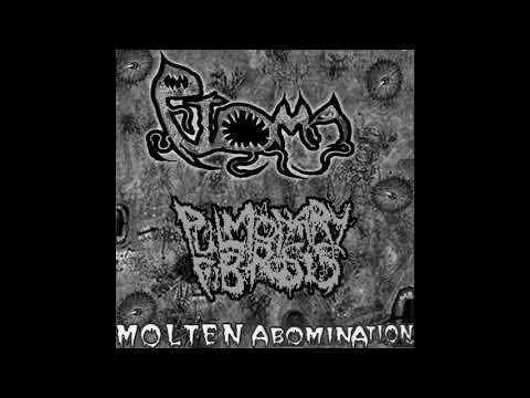 Ptoma - Reproductive Parasite