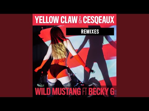 Video thumbnail for Wild Mustang (Mike Cervello Remix)
