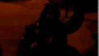 en la plaza de la palmera