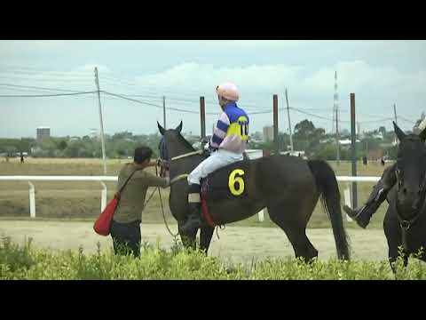 SINT FLORIDA 230216 c06 1° NEGRA MODELO