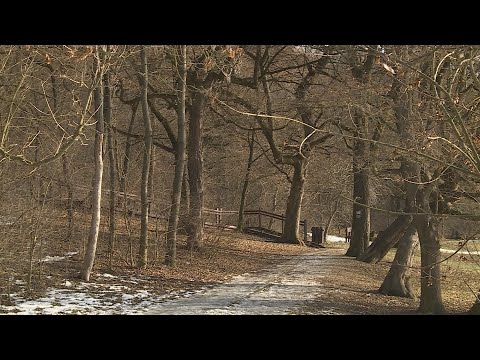 Budai Híradó 2026. január 8.