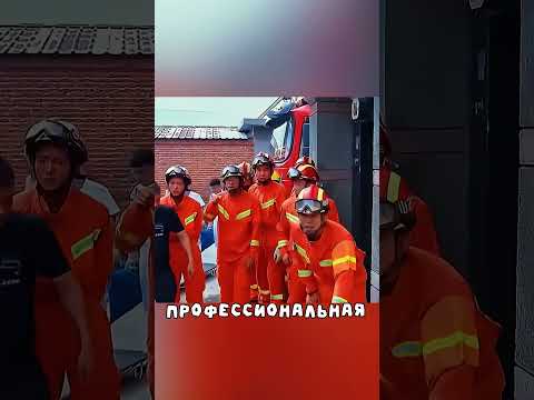 Люди думали, что его уже не спасти, но произошло это #shorts