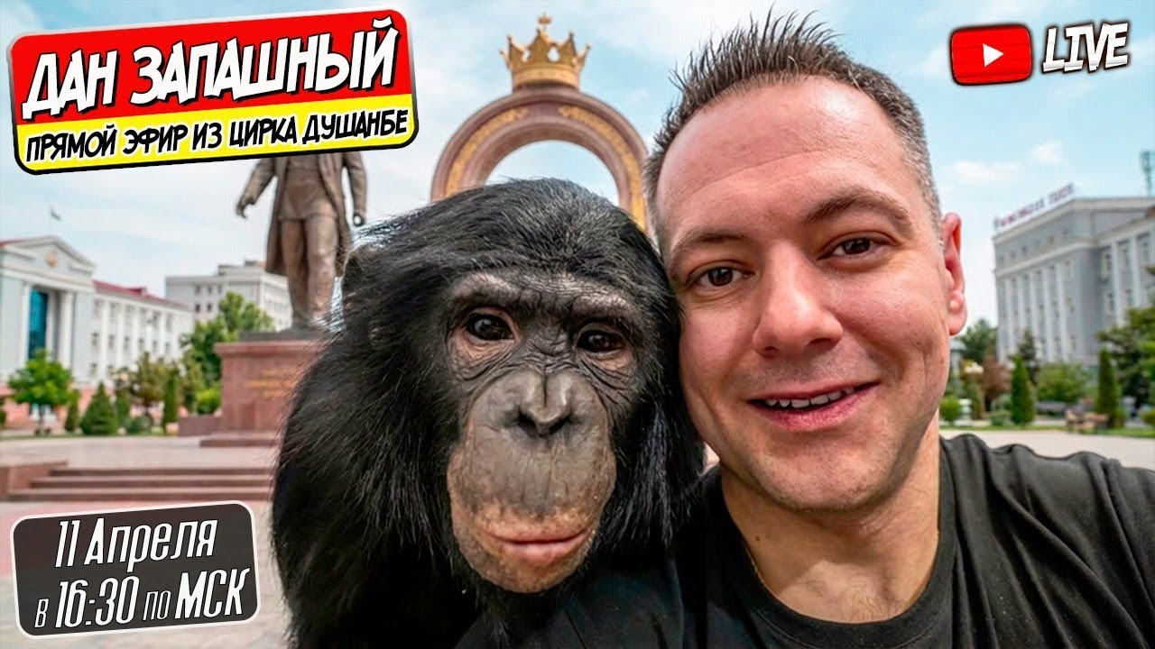 🔴 Третья Неделя в Душанбе с Даном Запашным и Шимпанзе Боней