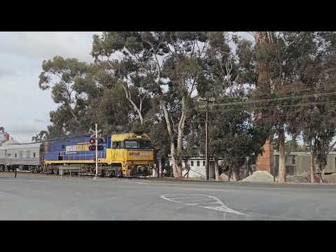 6MA8 JBRE The Overland to Adelaide,  17/5/24, Stawell