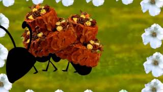 'ants'  by jason smart