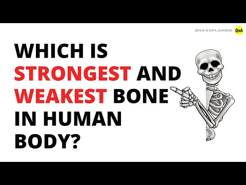 Which is strongest and weakest bone in human body? - QnA Explained