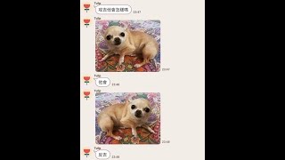 [實況] 超負荷 520 認真開爬不諧咖