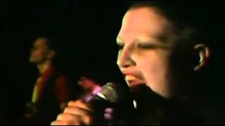 The Screamers - She frightens live1979