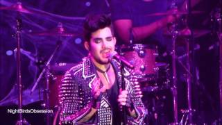 ADAM LAMBERT "There I Said It" Revention Music Center Houston 10.28.2015