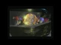 Pandemonium PS1 Intro Demo Mode 1996 Toys For Bob