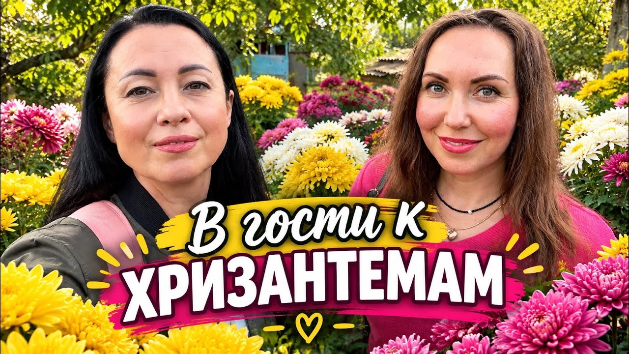 ЗАПОРОЖЬЕ | Кто и как выращивает ХРИЗАНТЕМЫ? 