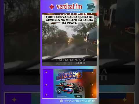 FORTE CHUVA CAUSA QUEDA DE ÁRVORES NA MG 170 EM LAGOA DA PRATA
