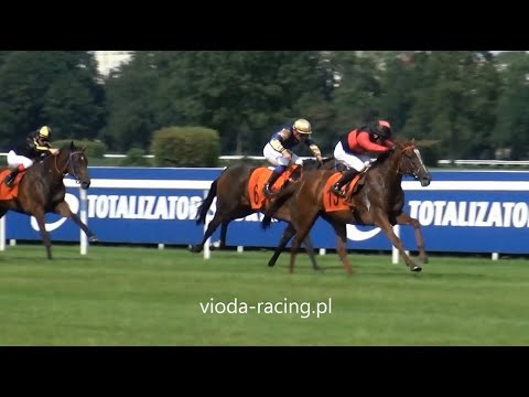 Gon. V (N. Prezesa Totalizatora Sportowego) - 19.07.2020 - Monpti (Mamool - Mystic Valley)