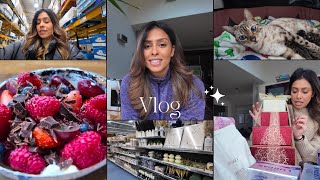 Vlog: B&M, New Kittens, Hair Care Journey & Costco Trip & Haul!