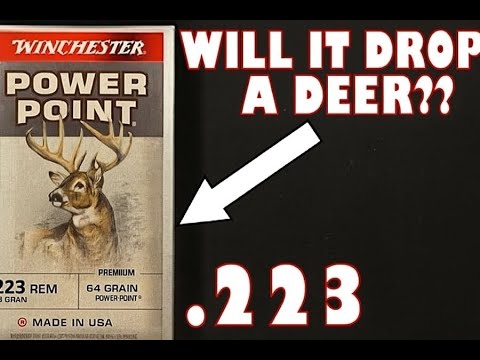 COYOTE SLAYERS!? 223 Remington Winchester 55gr JSP Ammo Test