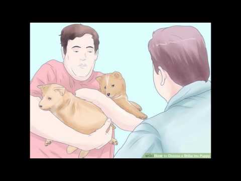 EXTREME MAKEOVER DIL’S HOME EDITION - Dan and Phil Play: Sims 4