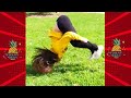 Loud Out Laugh ★ Best Epic Fall Face Down Will Make Your Day - Funny Daily Loud Out Laugh ★ Best Epic Fall Face Down Will Make Your Day