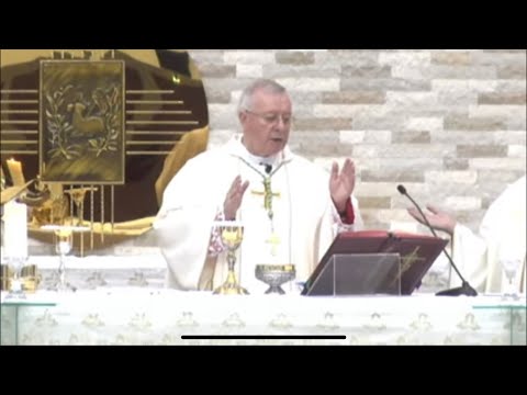 7:00 PM Mass - 17-11-2021 (English)