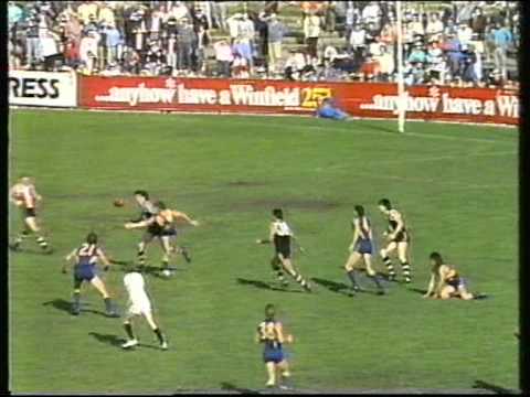 StKilda  v West Coast  rd 20 1988 Sportsworld panel review