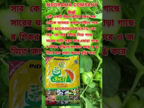 oorja/উর্জ indorama company #agriculture #agriculturefarming #detritusseedhouse5098 #farming